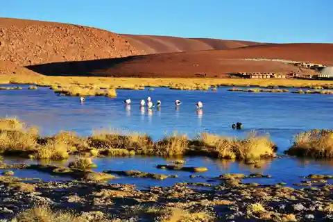 San Pedro de Atacama: El Tatio Geyser Field