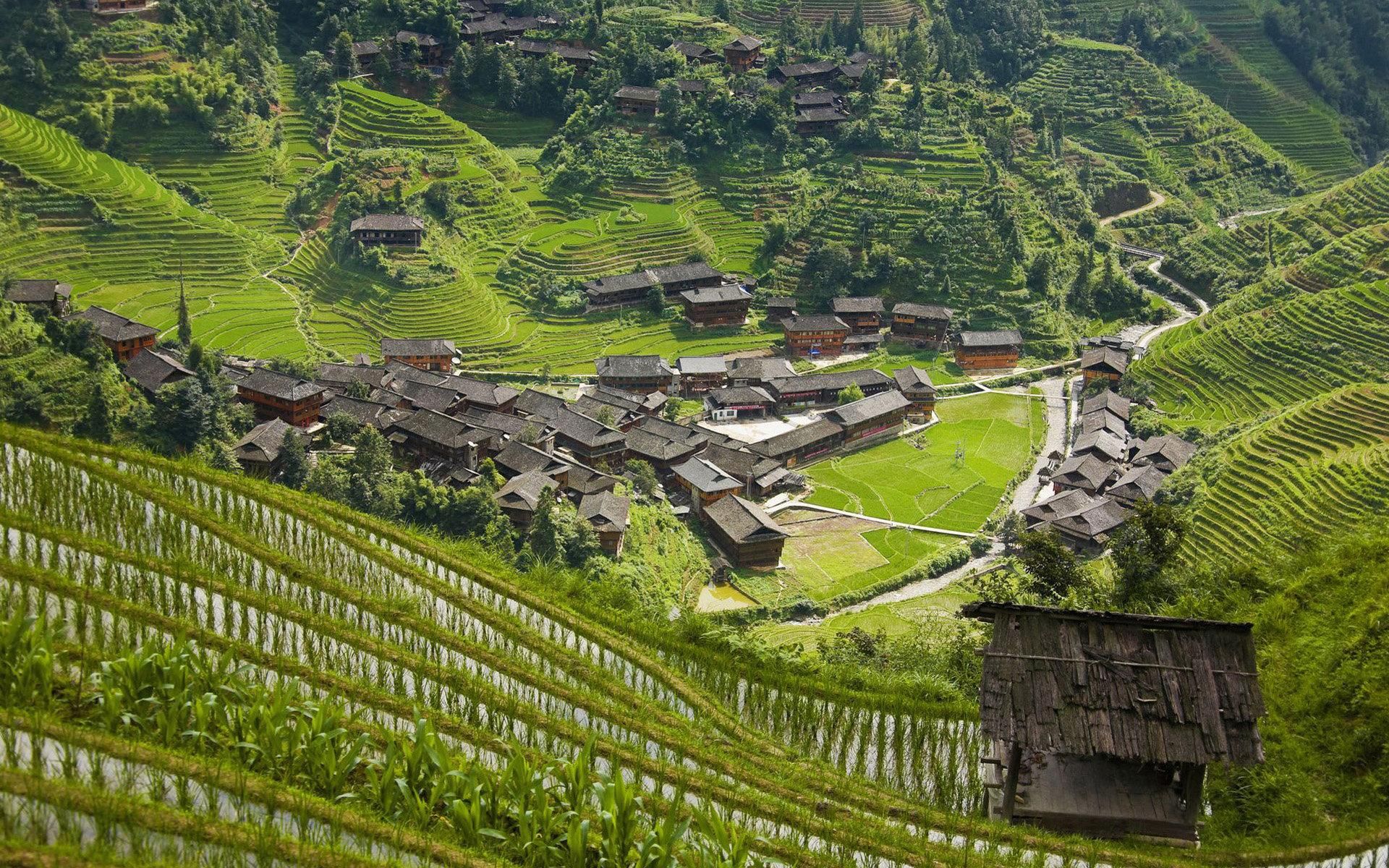 Guilin: Longji-Reisterrassen, Yao-Dorf und Jinkeng – Gemeinsame Tour