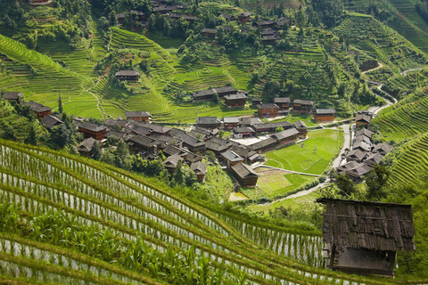 Guilin: Longji Terraces, Yao Village, & Jinkeng join in Tour