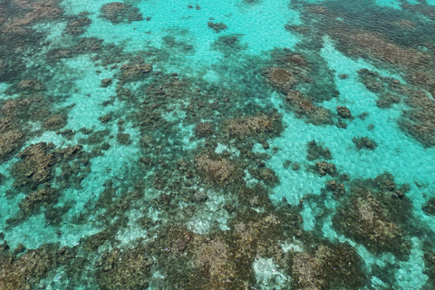 Guadeloupe: Magical half-day boat trip: mangrove, islet, snorkeling. Guadeloupe: Magical 1/2-day boat trip: mangrove, islet, snorkeling.