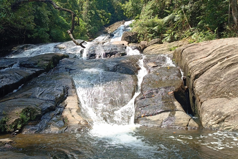 Sinharaja-Regenwald: Tour mit Wanderung zu 5 Wasserfällen