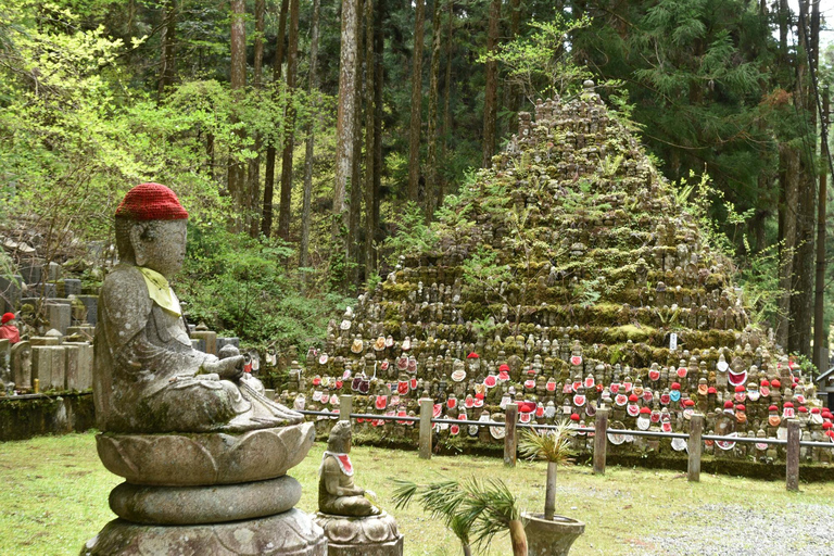 From Kyoto: Nara and Mt. Koya Day Tour with Lunch