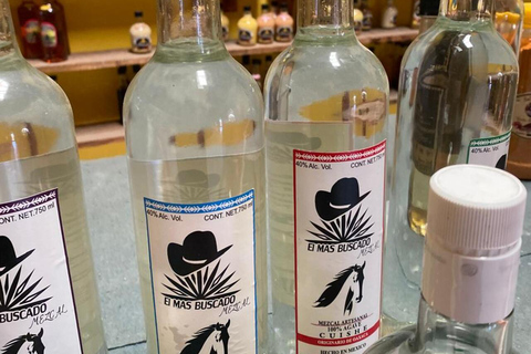 Podróż z jedzeniem i mezcalem