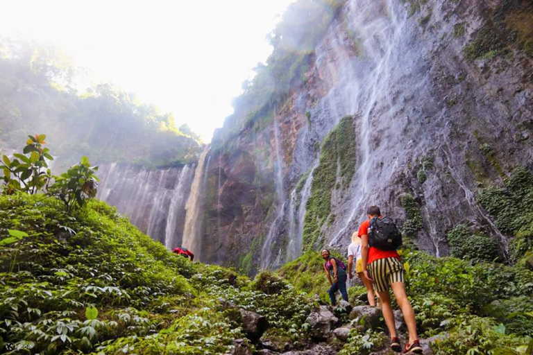 Bali to Yogya: Bromo, Ijen, Tumpak sewu, Prambanan,Borobudur