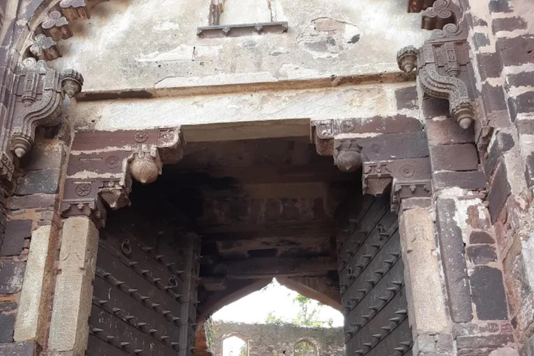 兰坦博尔国家公园：Canter Safari 门票（含接送）傍晚快速狩猎之旅门票：兰塔博尔国家公园