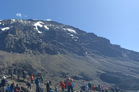 KILIMANJARO : Rejoignez l&#039;excursion du Kili 6 jours 5 nuits via la route MachameKilimandjaro : Rejoignez l&#039;excursion de 7 jours au Kili via la route Machame