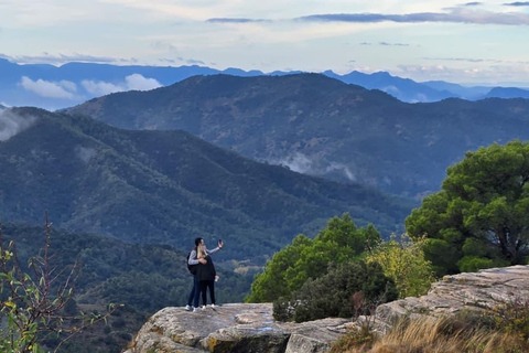 Cistercian Route Monasteries & Wine Tour