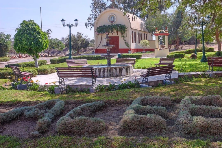 Depuis Ica ou Huacachina : visite du vignoble et de la cave artisanale de Tacama.