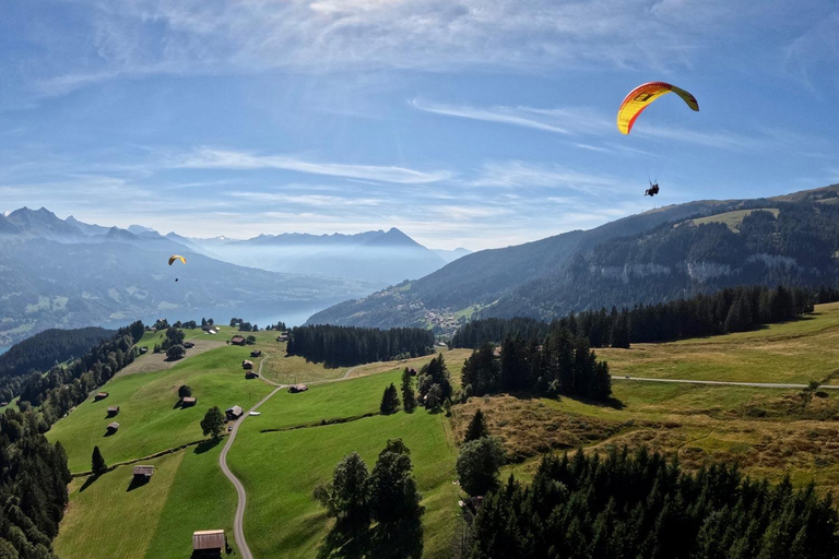 Paragliding ride in Gabala with breathtaking views Gabala: Pick up & drop off