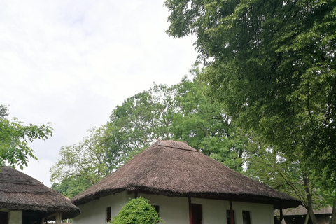 Panoramic tour of Bucharest with three stops and two visits.