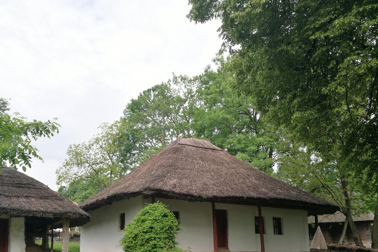 Panoramische tour door Boekarest met drie stops en twee bezoeken.