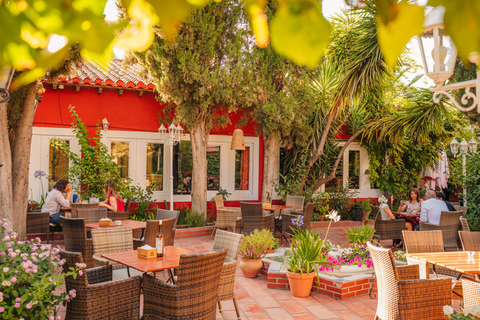 Granada: Jantar com Paella num Terraço do Albayzín e Flamenco ao Vivo