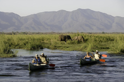 From Arusha: Arusha National Park Day Trip