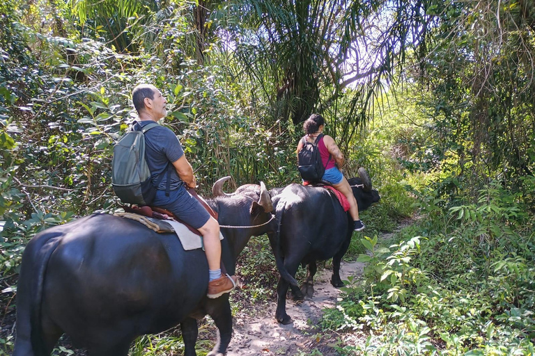 Búfalo Tour Salvaterra