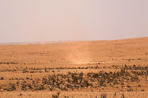 Hammamet: 3-Day Djerba, El Djem, and Sahara Desert Tour