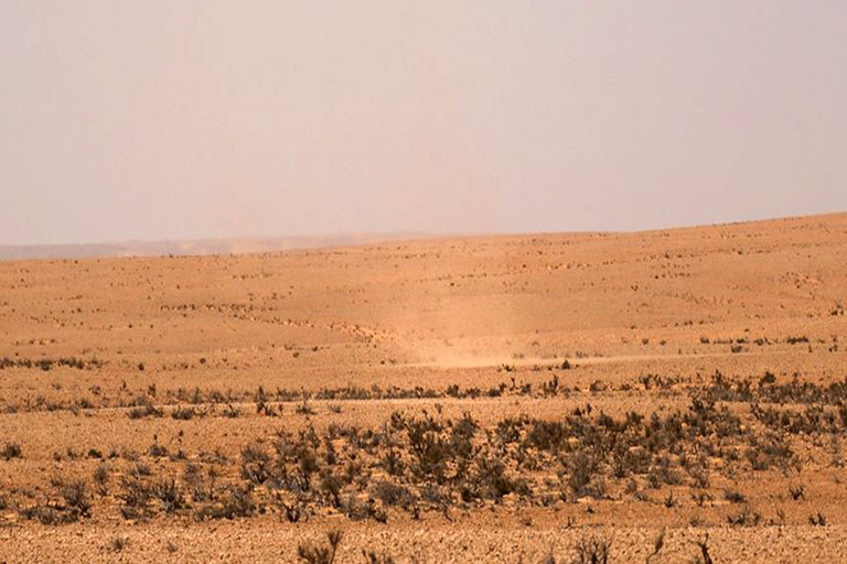 Hammamet: 3-Day Djerba, El Djem, and Sahara Desert Tour