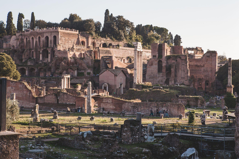 Rome: Colosseum Small-Group Guided Tour