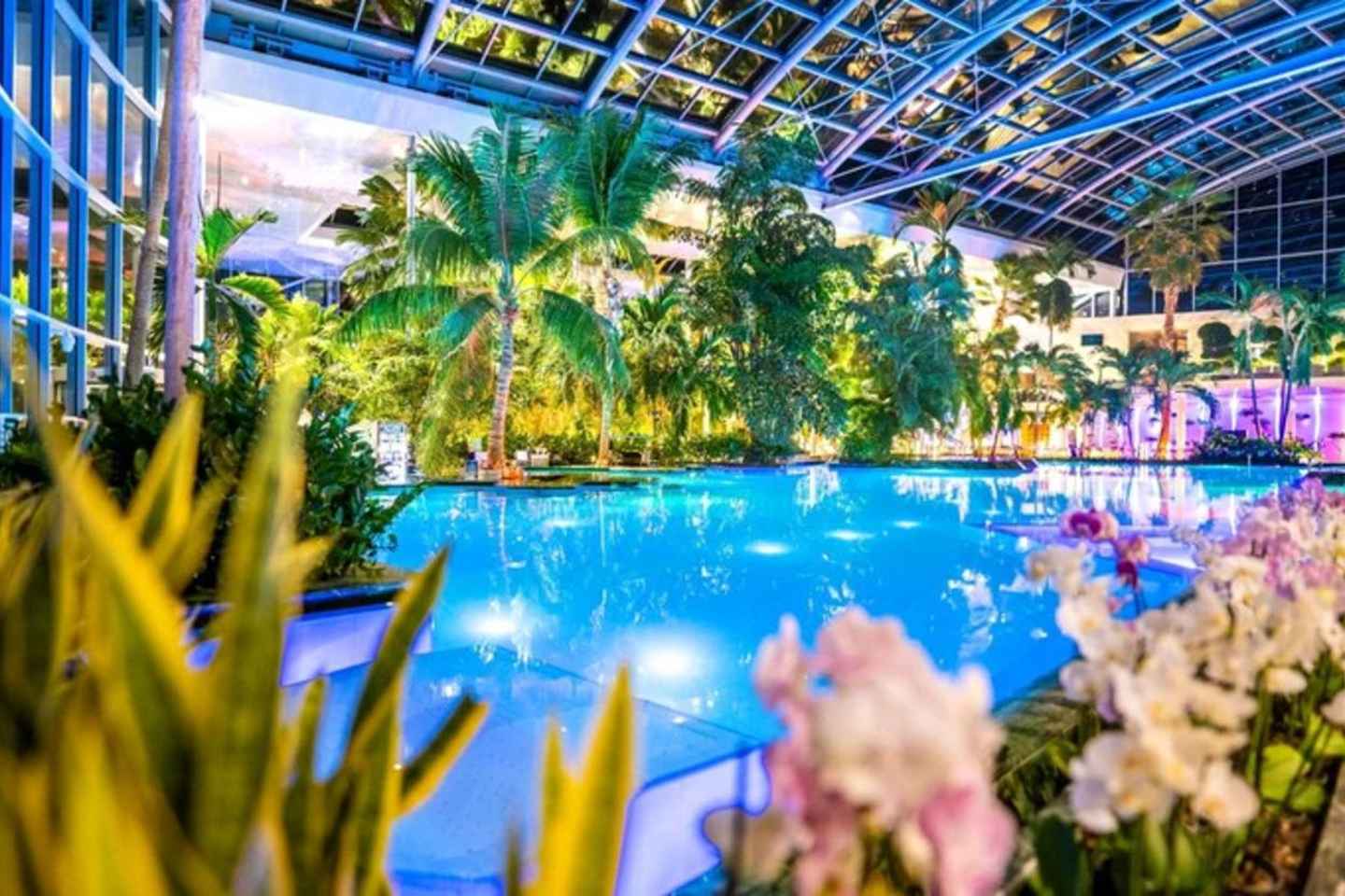 往返Therme温泉的全程交通服务