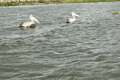 Nairobi:Lake Naivasha, Hell’s Gate & Crescent Island Tour