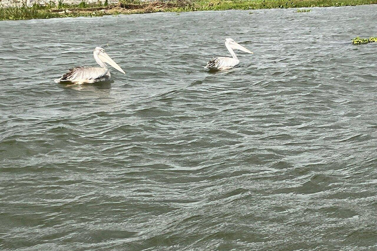 Nairobi:Lake Naivasha, Hell’s Gate & Crescent Island Tour
