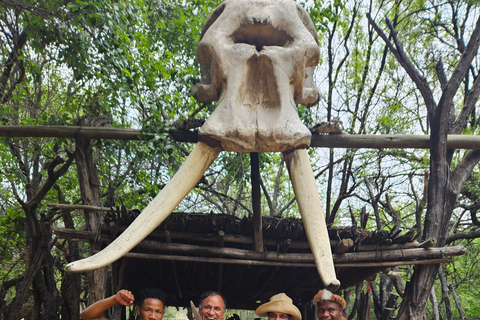 Safari at Lion and Rhino Park / Lesedi Culture Village