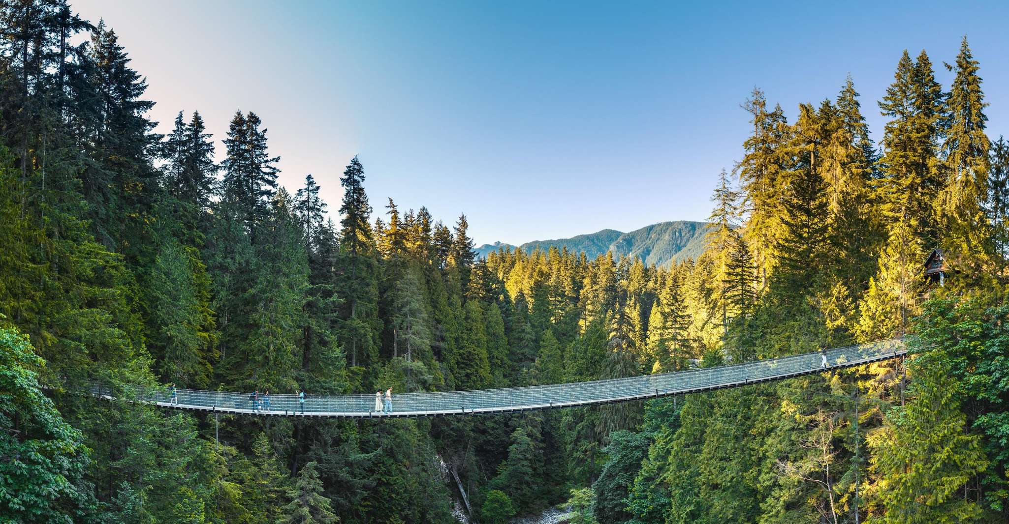 Vancouver: City Tour with Capilano Bridge and Stanley Park