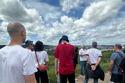 Stuttgart: Wine Tour with wines of the best winemakers Shared Tour