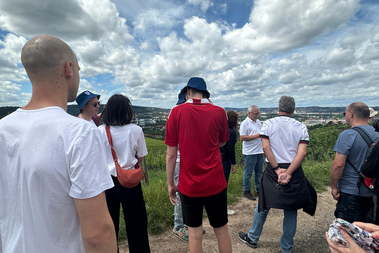 Stuttgart: Wine Tour with wines of the best winemakers Shared Tour