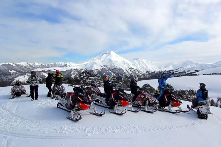 Explore the depths of the Canadian forest in Snowmobile