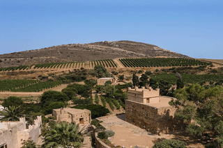 Naxos: wycieczka po winnicy Terra Grazia i degustacja win