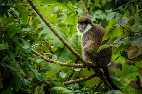 5-dniowa wycieczka do Parku Narodowego Bale i gór