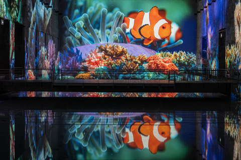 Bordeaux: Bassins des Lumières Bilet Ocean