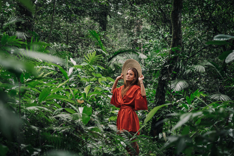 Cairns: Daintree Rainforest & Cape Tribulation Minibus Tour Cairns CBD Hotel Pickup