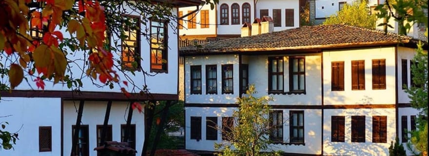 Excursion d'une journée à Safranbolu avec un guide de la région