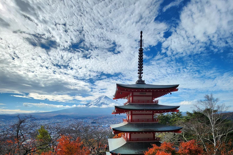 Tokyo: Mount Fuji Affordable Customizable Private 1-Day Tour Mount Fuji one day Private tour in Luxury Land Cruiser
