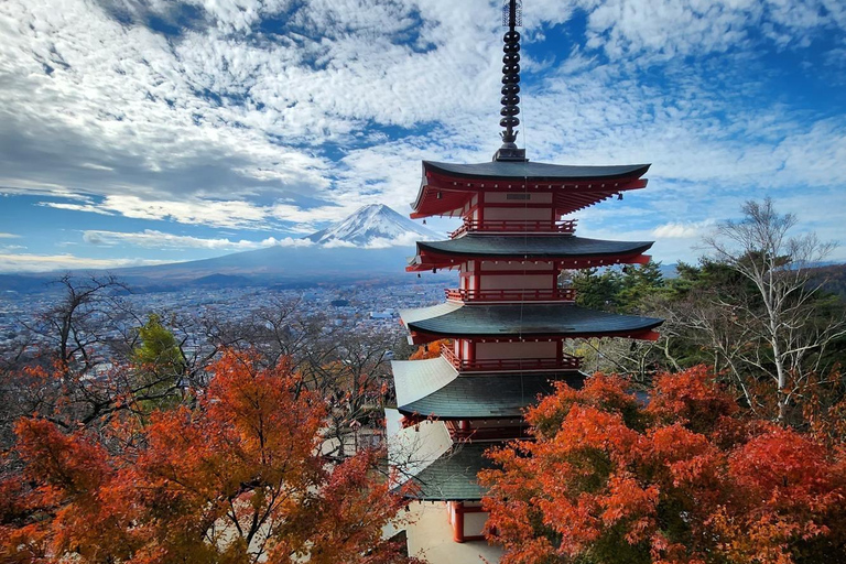 Tokyo: Mount Fuji Affordable Customizable Private 1-Day Tour Mount Fuji one day Private tour in Luxury Land Cruiser
