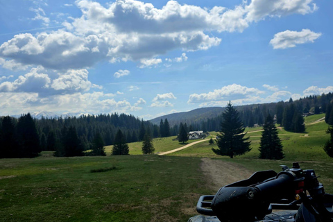 Poiana Brasov: Guided ATV Ride Through Mountain Forest