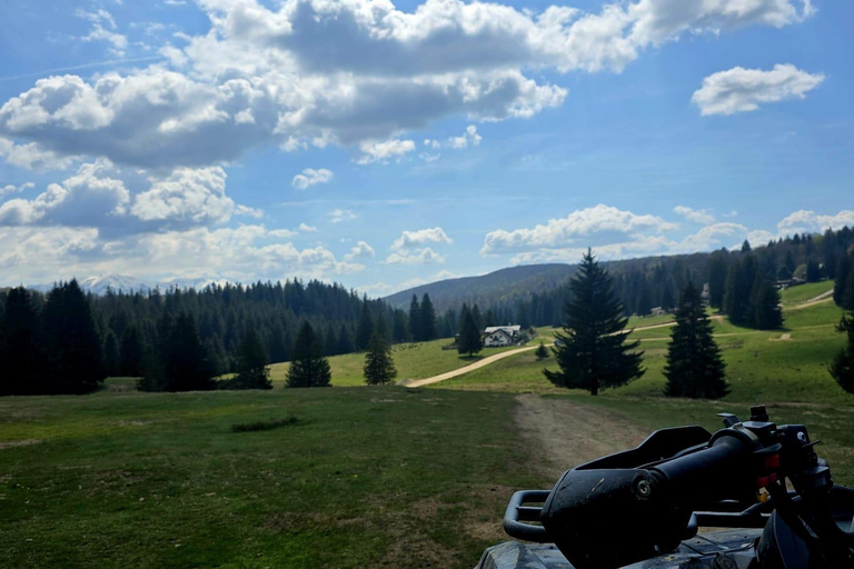 Poiana Brasov: Guided ATV Ride Through Mountain Forest