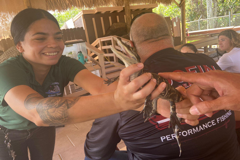 Visita os Everglades em francês a partir de Orlando e arredoresVisita aos Everglades em francês a partir de Orlando ou dos arredores