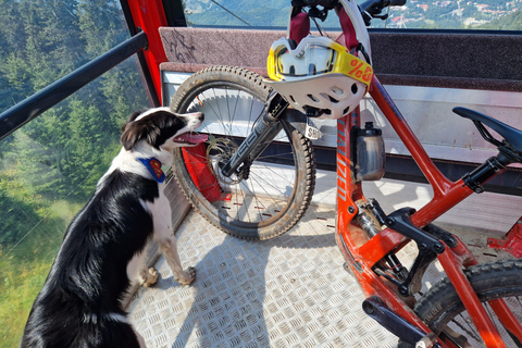 Ride Brașov’s Wild Trails with Daisy & Taste Local Life