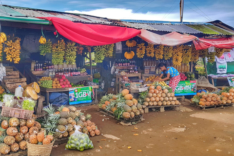 Manila: Tagaytay Day Tour, a Journey of Culture and Scenery