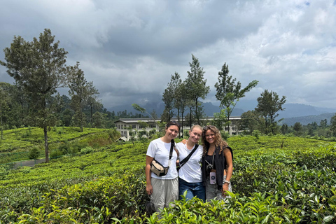 Kandy: Ambuluwawa Tower, Ramboda Falls & Tea Factory Tour