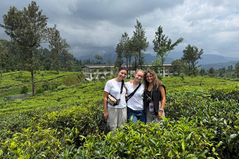 Kandy: Ambuluwawa Tower, Ramboda Falls & Tea Factory Tour