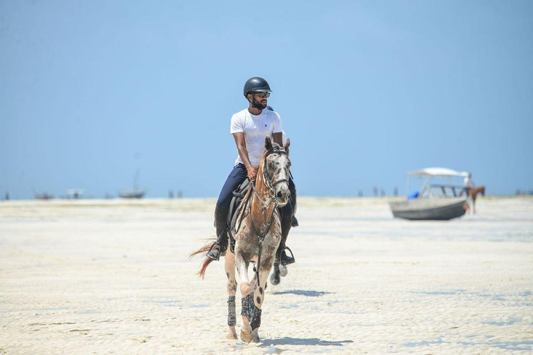 Zanzibar Beach Horse Riding