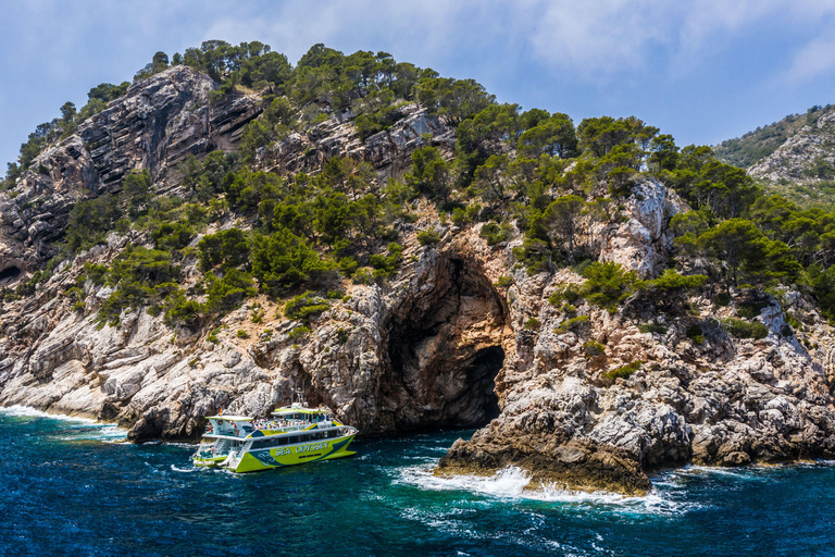 From Sa Coma: East Coast Glass Bottom Boat Trip New Sea Paradise - From Sa Coma 3-Hour Boat Ride