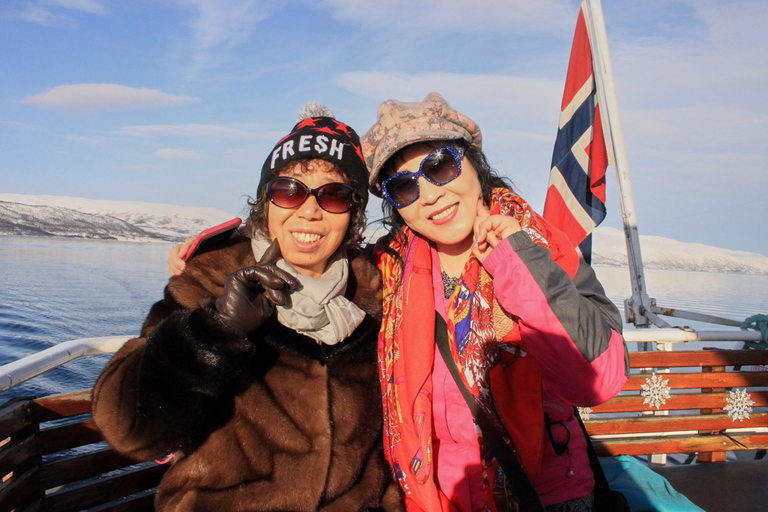 Tromsø: Fjordkryssning med vilda djur och fåglar med lunch och dryckTromsø: Fjordutflykt med vilda fåglar, lunch och drycker