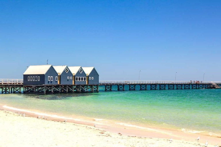 Visite d&#039;une jounée de Perth à Margaret River : Vin de qualité supérieure et déjeuner