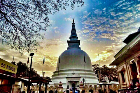 From Sigiriya to Ella Transfer with Vedda Village & More