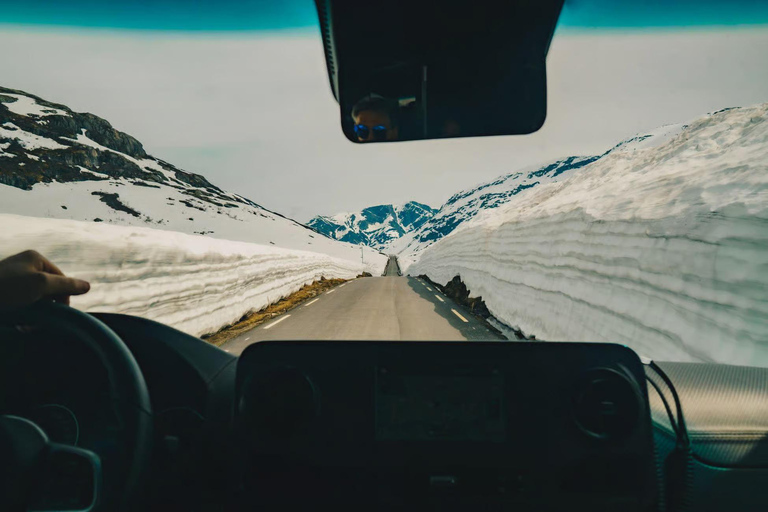 Bergen Day Winter Tour: Nærøyfjord Cruise, Flåm &amp; Stegastein