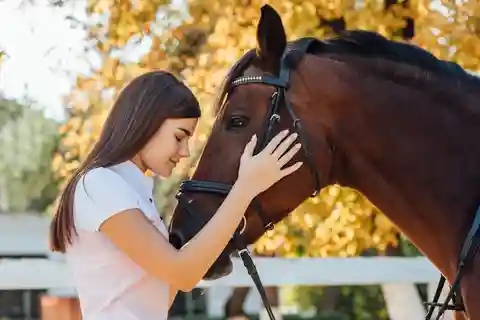 Torremolinos: Guided tour to stables of El Ranchito
